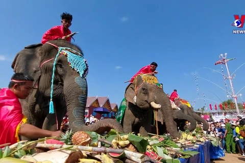 Elephant festival offers unique experience for visitors to Dak Lak