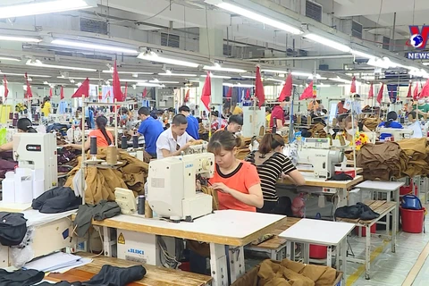 Vietnam's economy to grow by 6.6% this year: OECD