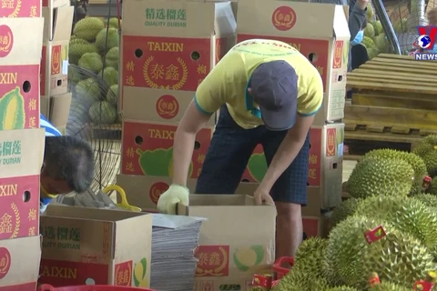 Durian exports surge 18 times in May