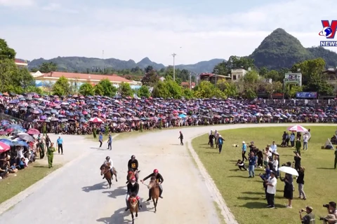 Bac Ha reclaiming mantle as unique tourism area