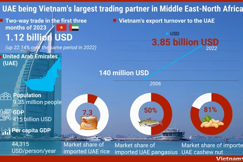 UAE being Vietnam's largest trading partner in Middle East-North Africa
