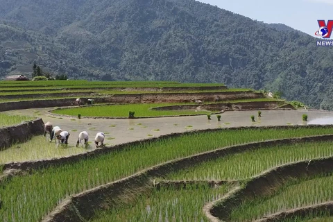 Ha Giang named Asia's leading emerging destination