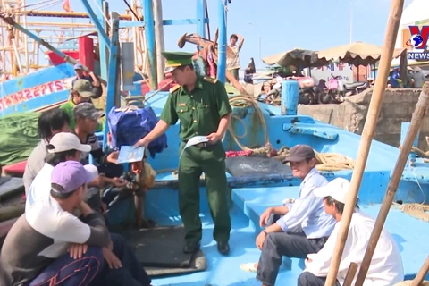Binh Thuan determined to crack down on illegal fishing vessels