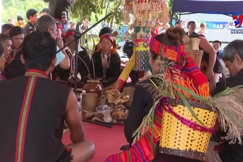 Preserving the new rice celebration in the central highlands