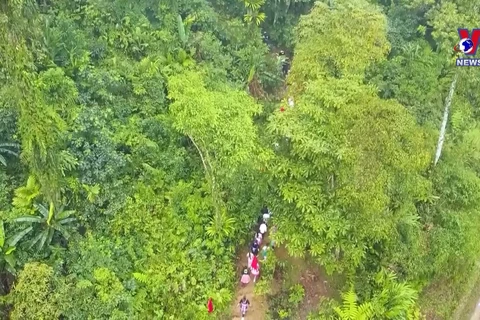 Forest worship: Unique feature of Na Hau’s Mong ethnic group rituals