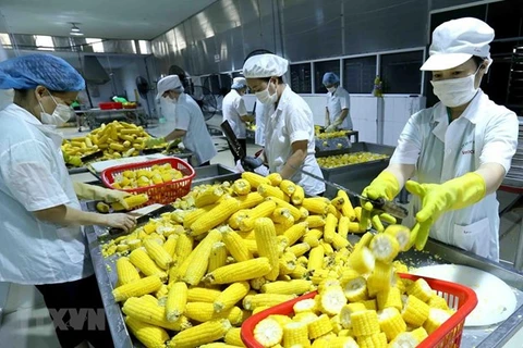 RCEP helps Vietnamese agricultural products reach out to the world