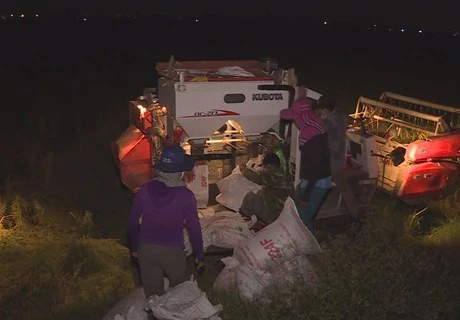 Hanoi farmers harvesting at night to beat the heat