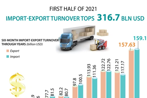 Import-export turnover tops 316.7 billion USD in H1