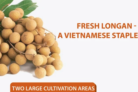 Fresh longan - A Vietnamese staple