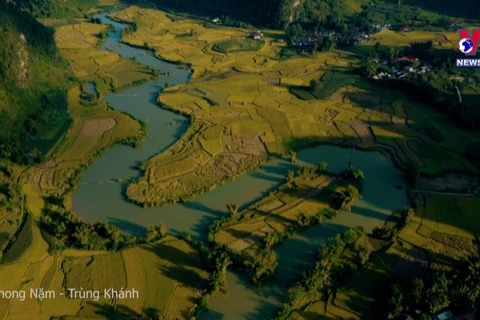 Beautiful, poetic Cao Bang in ripe rice season