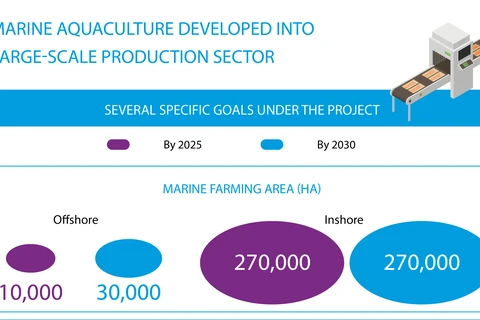 Marine aquaculture developed into large-scale production sector