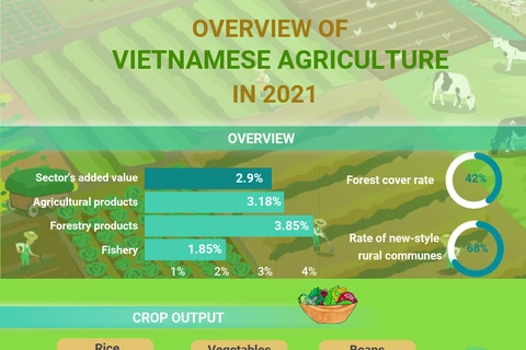 (Interactive) Overview of Vietnamese agriculture in 2021