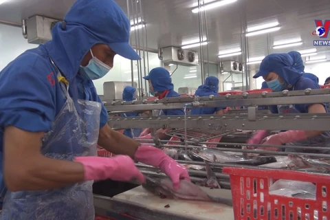 Six more Vietnamese firms eligible to export tra fish to US