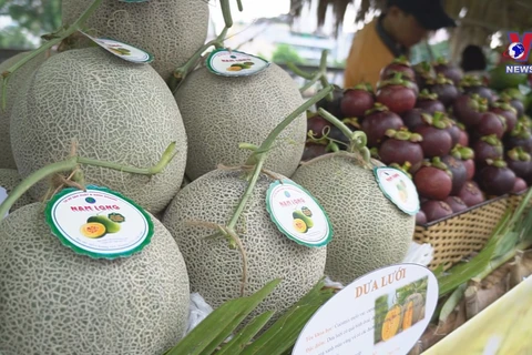 HCM City hosts first-ever fruit festival