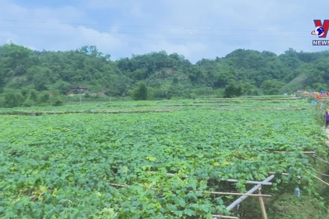 Bac Kan grows ecotourism around local agriculture