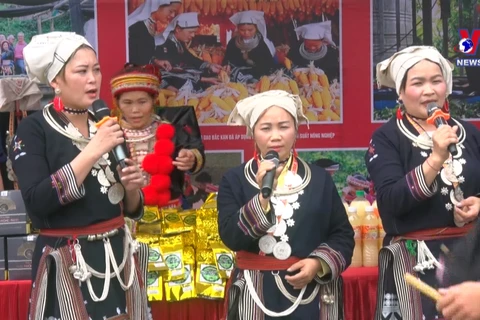 Festival highlights unique culture of Dao ethnic group