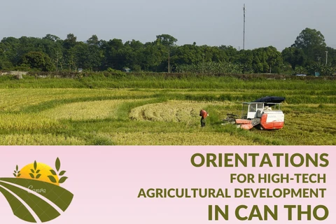 Orientations for high-tech agricultural development in Can Tho