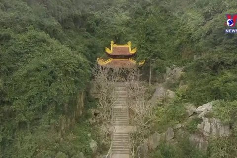 Ninh Binh branches out historical tours