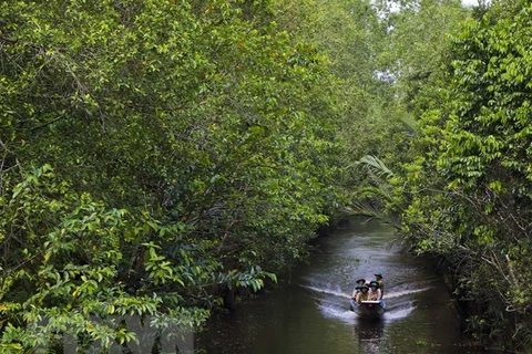Nature Reserve in Mekong Delta taps eco-tourism potential