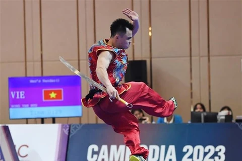 Vietnam wushu team claim five gold medals