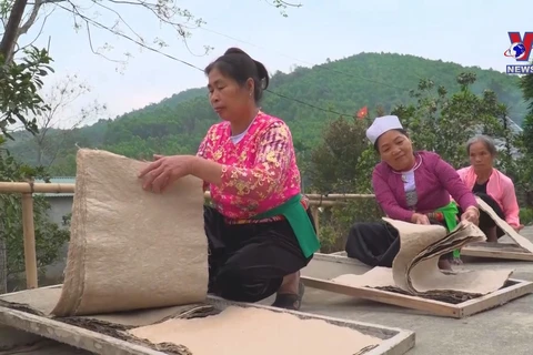 Muong ethnic minority keeping traditional paper making craft alive