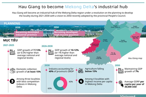 Hau Giang to become Mekong Delta’s industrial hub