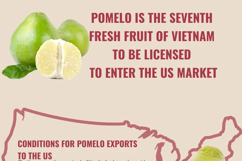 Pomelo - Seventh fresh fruit of Vietnam to be licensed to enter US market