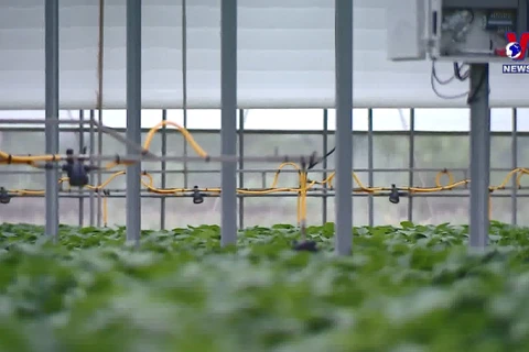 Vietnam, RoK cooperate to develop smart farming