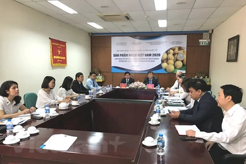 Importers explore partnerships for trading longan