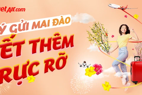 Vietjet transports apricot, peach blossoms on Lunar New Year 2024