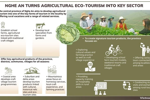 Nghe An turns agricultural eco-tourism into key sector