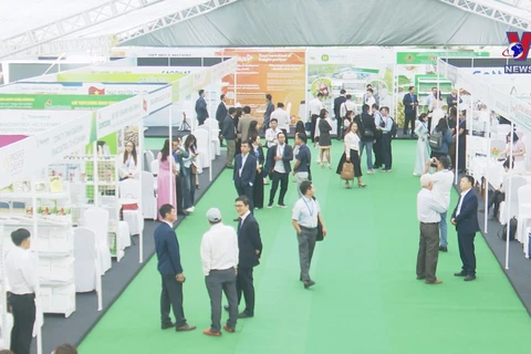 Int’l cashew nut conference opens in Quang Binh