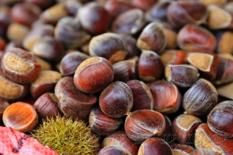 Trung Khanh chestnuts from Cao Bang