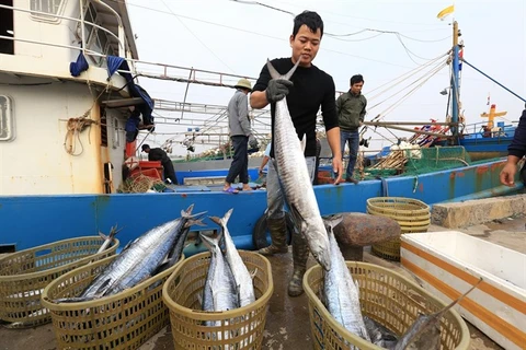 Government’s action program cracks down on illegal fishing