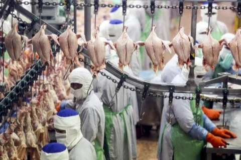 Thailand resumes chicken export to RoK after 12-year suspension