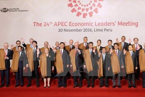 Vietnam receives support in hosting APEC Year 2017: Deputy PM