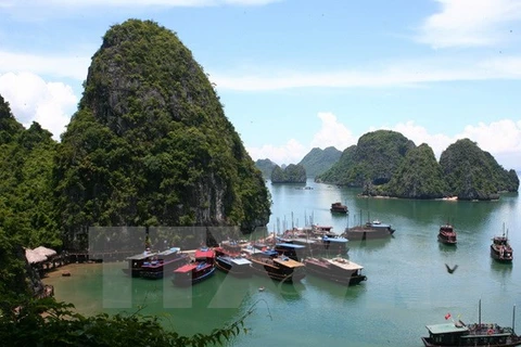 Quang Ninh develops high-quality tourism services on Ha Long Bay