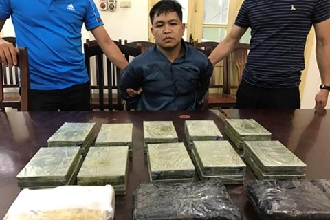 Hanoi police crack down on inter-provincial drug trafficking ring