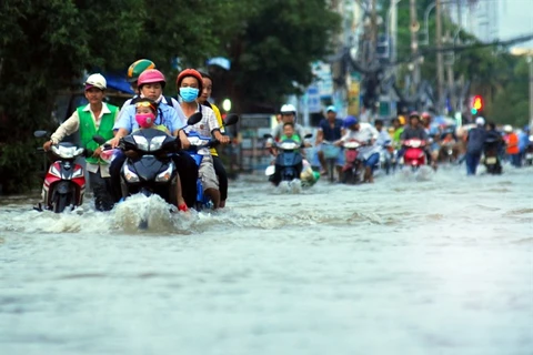HCM City flood control master plan inadequate: official