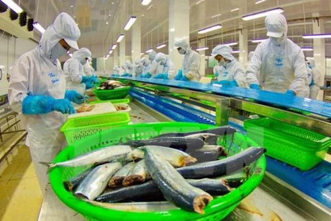 China likely becomes Vietnam’s biggest tra fish market