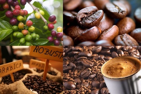 December 10 designated Vietnam Coffee Day