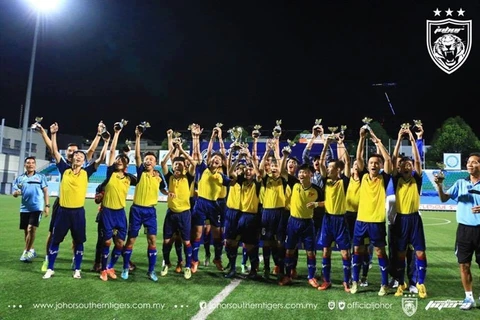 Vietnamese team wins Challenge Cup in Singapore