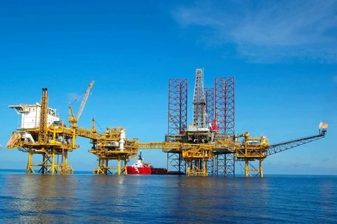 New oil reserve found in Bach Ho well