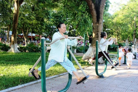 Parks become free gyms in Hanoi