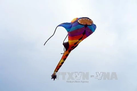 Vietnam Art Kite Festival opens in Vung Tau