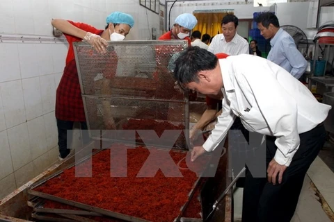 HCM City takes drastic measures to ensure food safety