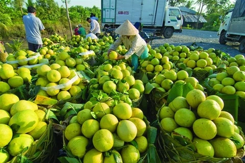 Fruit-vegetable export value surpasses 2.1 billion USD