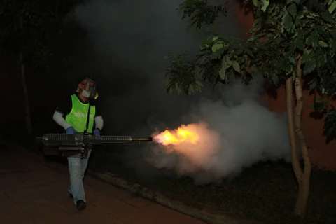 HCM City using thermal foggers to kill mosquitoes
