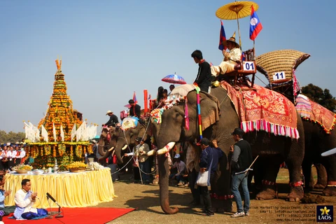Lao Elephant Festival to take place in Xayaboury 