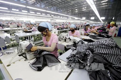 Vietnamese firms invest in textile, dyeing